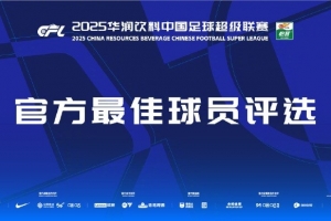中超第14轮最佳候选：图多列、弗兰克、张稀哲、卡多索、基莱斯