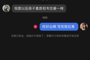 骂完就拉黑！韦世豪妻子晒被私信辱骂截图
