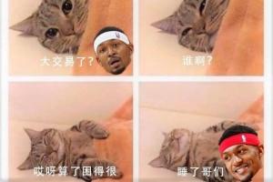 送神难😂太阳想送走比尔 但找不到方案且比尔有否决权