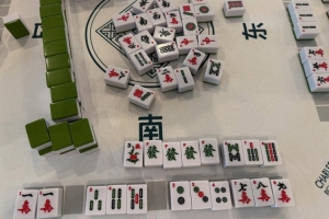 学习国粹！瓦妮莎打起了麻将 这麻将还是外国特供版
