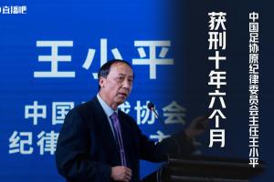 朱晓刚怒批王小平：被这么个人签字停赛真挺耻辱